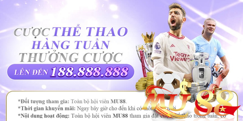 Hoàn trả thể thao theo ngày hoặc theo tuần